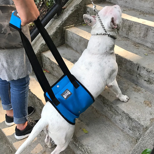 Harnais de levage pour chien, pattes arrière