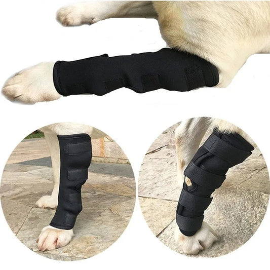 Genouillère simple pour chien (une patte)